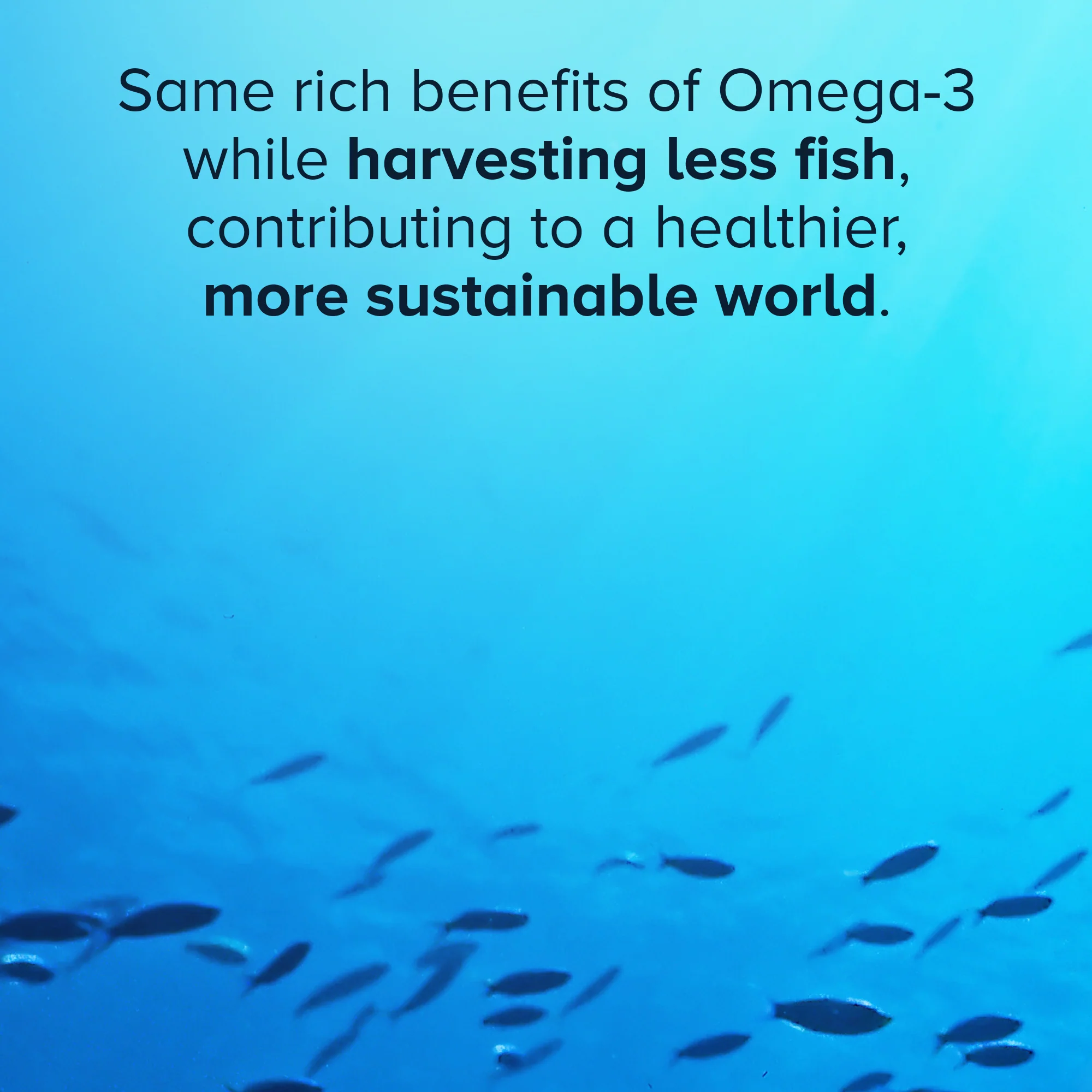 Advanced Omega-3 Krill & Fish Oil Softgels, 250mg - Image 6